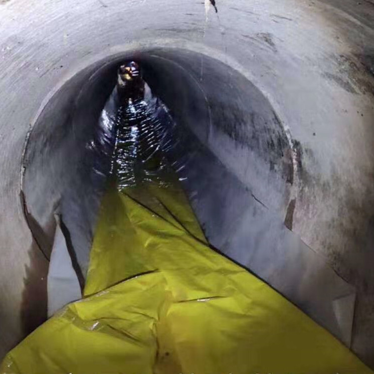 萨嘎管道光固化修复